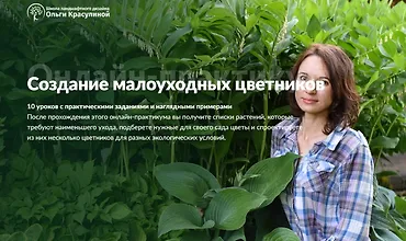 Изображение курса Создание малоуходных цветников