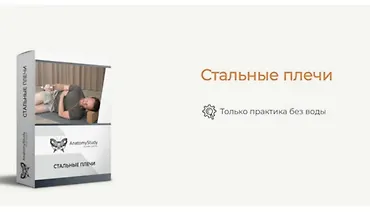 Изображение курса Стальные плечи