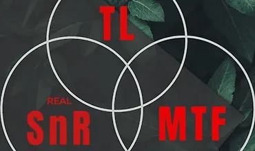 Изображение курса Супер курс — SNR TL MTF 