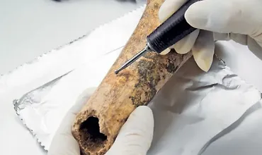 Изображение курса Технологии и антропология