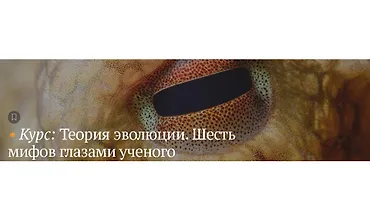 Изображение курса Теория эволюции. Шесть мифов глазами ученых