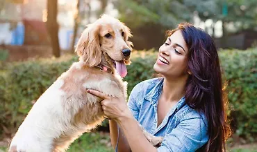 Изображение курса Тренировка собак 101