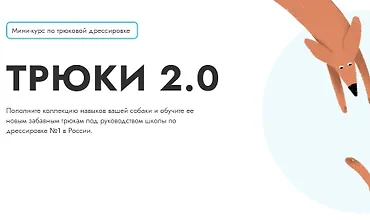 Изображение курса Трюки 2.0
