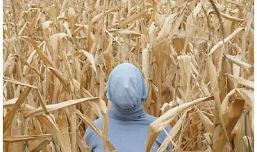 Изображение курса Учимся снимать и обрабатывать как Уэс Андерсен