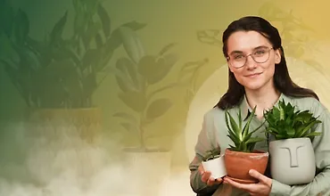 Изображение курса Уход за домашними растениями