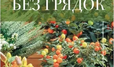 Изображение курса Урожай без грядок. Огород в контейнерах