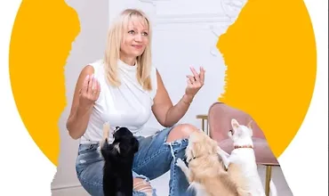 Изображение курса Вебинар Манипуляции