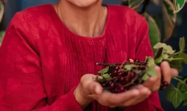 Изображение курса Витамины и минералы