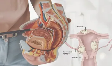 Изображение курса Внутри женщины