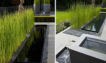 Изображение курса Вода в вашем саду: все, что нужно знать для создания искусственного источника