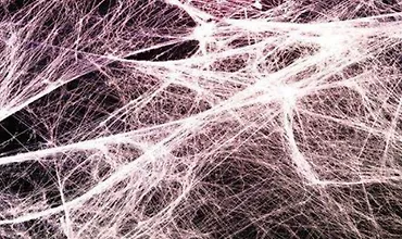 Изображение курса Восстановление фасции. Усиленная версия Plus +11x (Экстра-сильная)