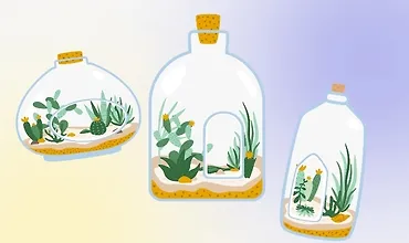 Изображение курса Введение в Биоарт