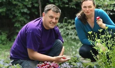 Изображение курса Ягодный курс