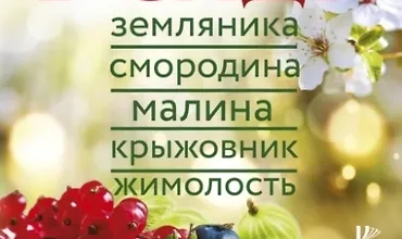 Изображение курса Ягоды в саду. Земляника, смородина, малина, крыжовник, жимолость