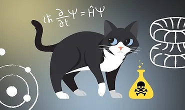 Изображение курса Законы квантовой механики: просто о сложном