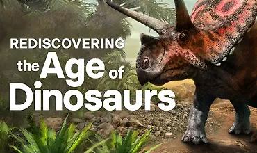 Изображение курса Заново открывая эпоху динозавров
