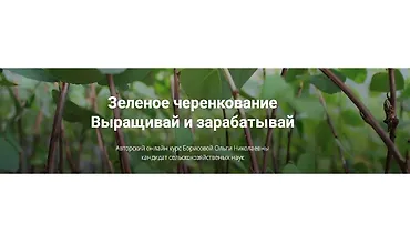 Изображение курса Зеленое черенкование. Выращивай и зарабатывай