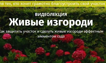Изображение курса Живые изгороди. Где посадить, из чего сделать