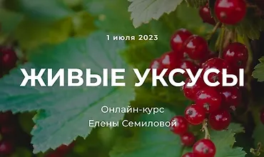 Изображение курса Живые уксусы