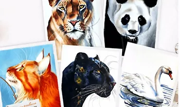 Изображение курса Зоо-марафон