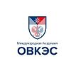 Академия ОВКЭС logo