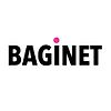 Baginet logo