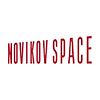 Novikov Space logo