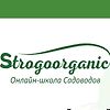 Strogoorganic logo