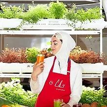 Аалия Шаипова logo