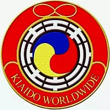 Академия Киайдо logo