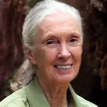 Доктор Джейн Гудолл logo