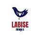 LABISE logo