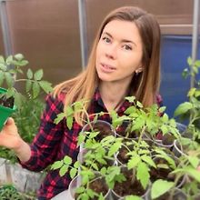 Изображение источника Марина Шевлякова