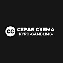 Серая Схема logo