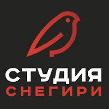 Студия Снегири logo