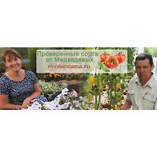 Изображение источника svoisemena