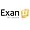 Exan13 logo