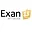 Exan13 logo